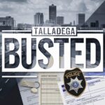 Everything You Need to Know About BBCSurprise Annie